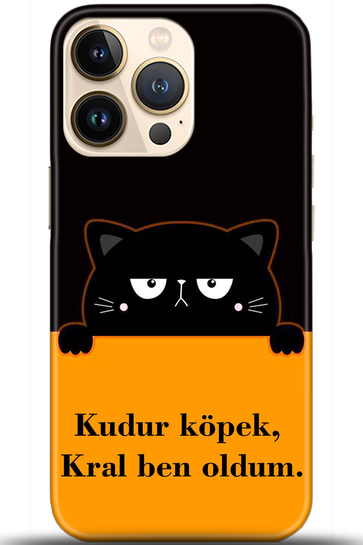 Apple iPhone 13 Pro Max Kılıf HD Baskılı Kılıf - Followed Institution 5719