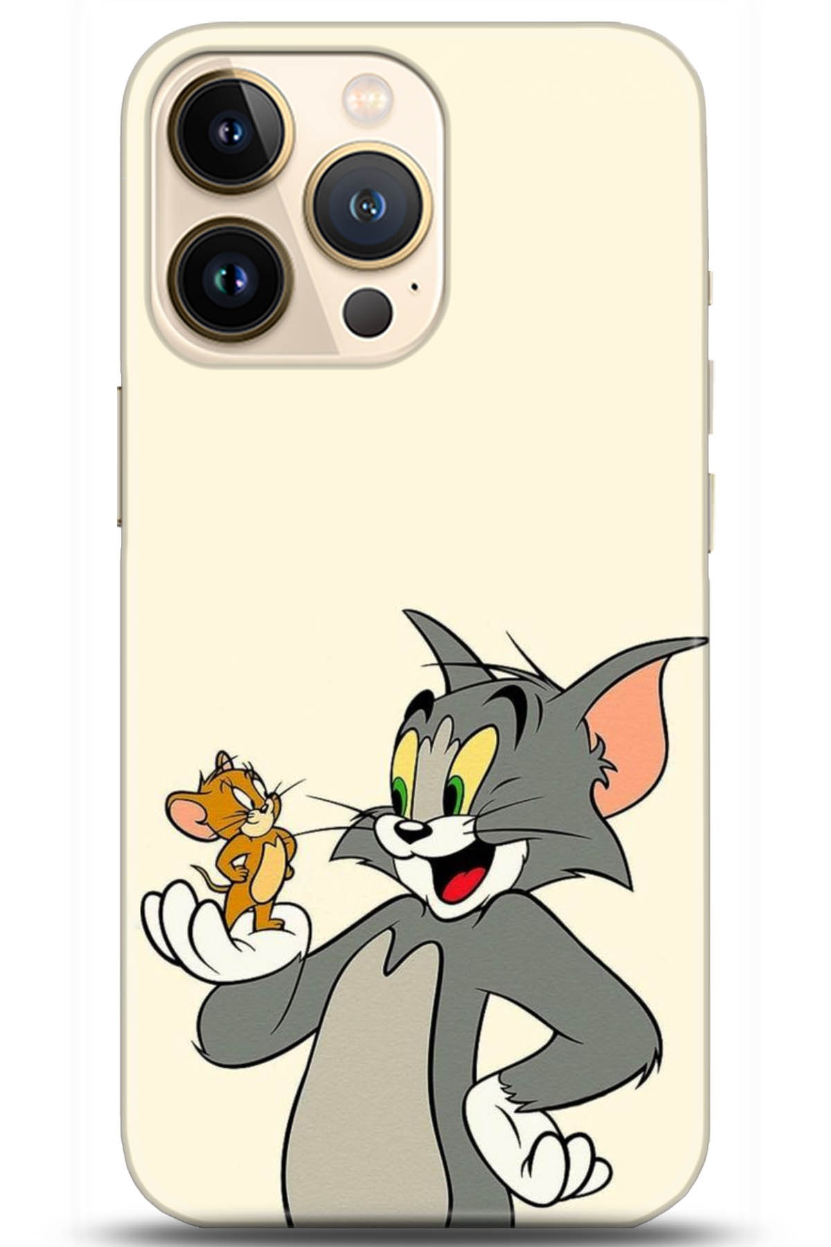 Apple iPhone 13 Pro Max Uyumlu Kılıf HD Baskılı Kılıf - Followed Institution 5030