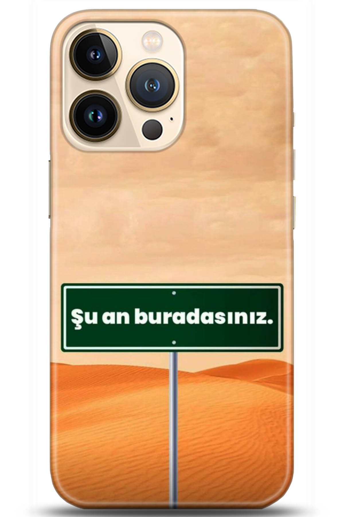 Apple iPhone 13 Pro Max Uyumlu Kılıf HD Baskılı Kılıf - Followed Institution 5159