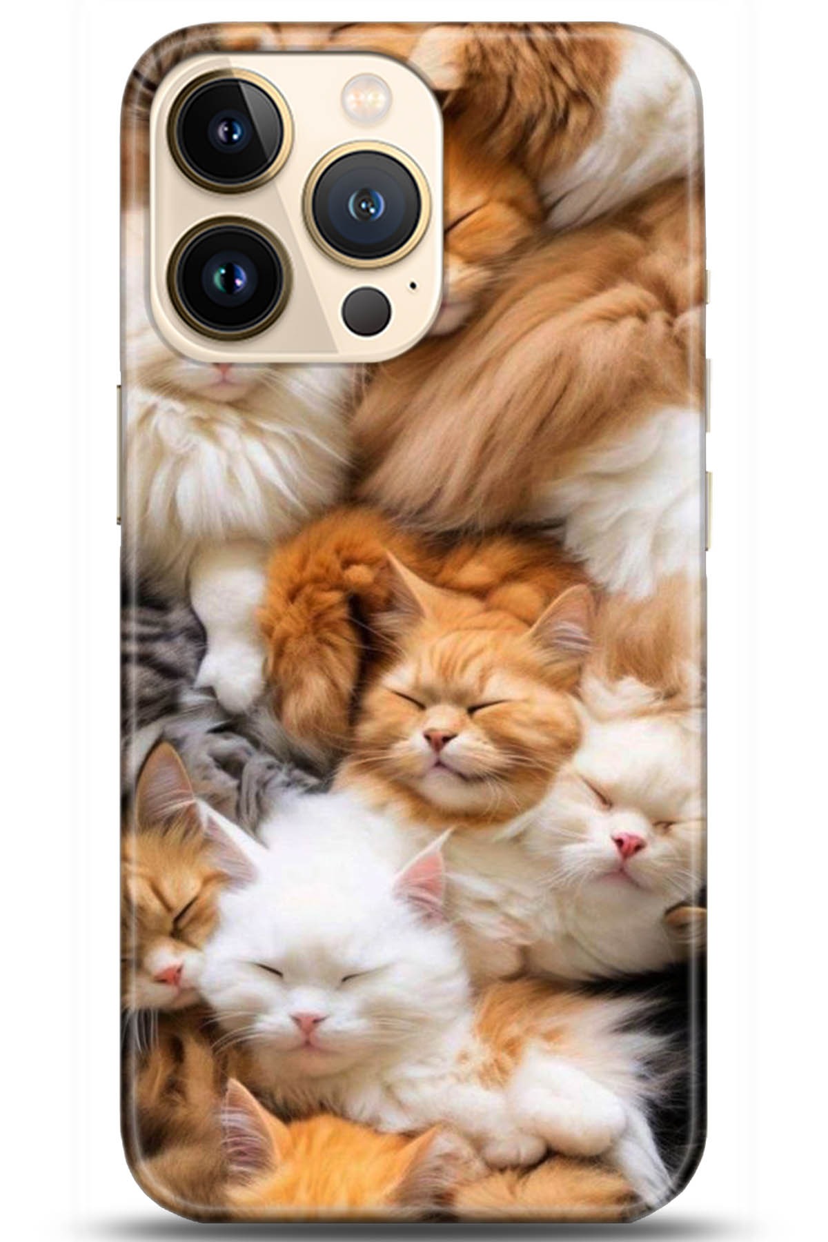 Apple iPhone 13 Pro Max Uyumlu Kılıf HD Baskılı Kılıf - Followed Institution 5234