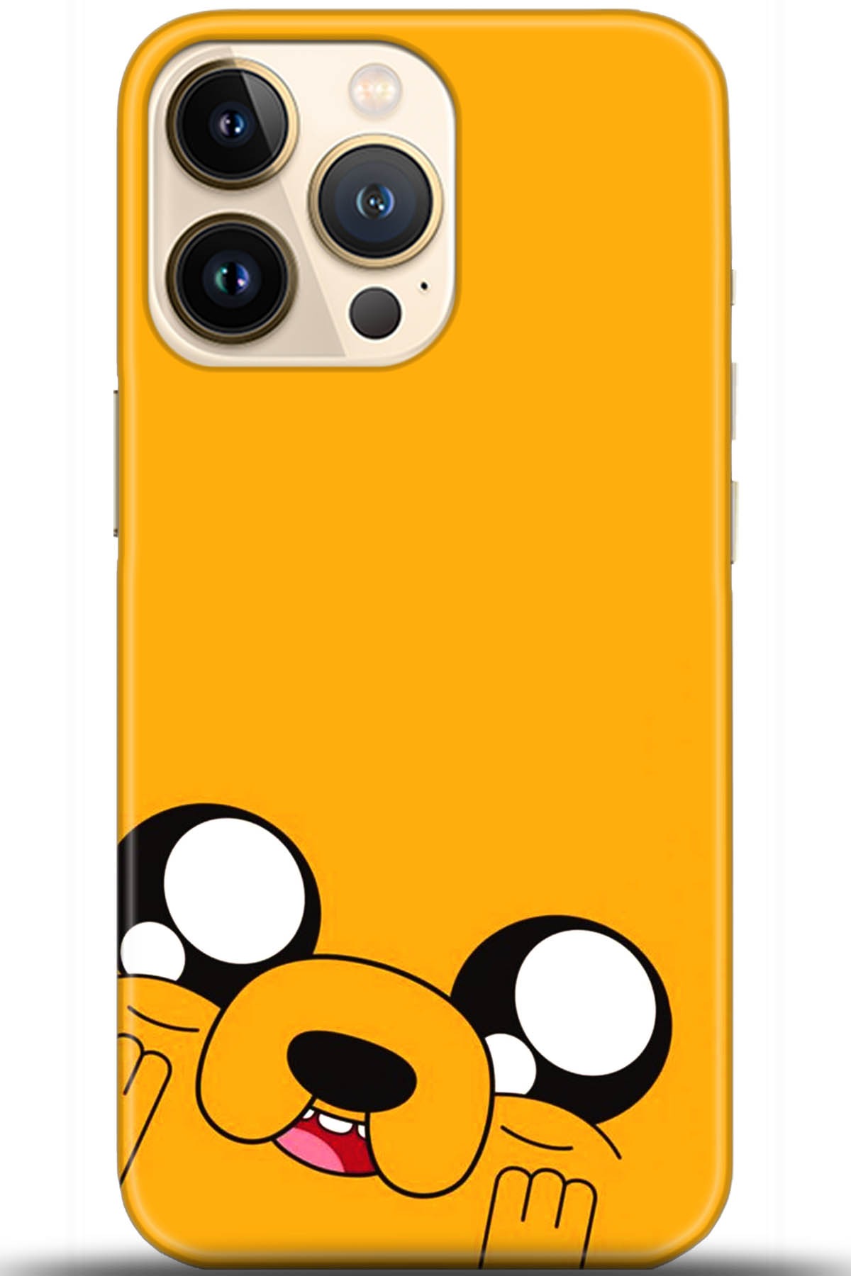 Apple iPhone 13 Pro Max Uyumlu Kılıf HD Baskılı Kılıf - Followed Institution 5531