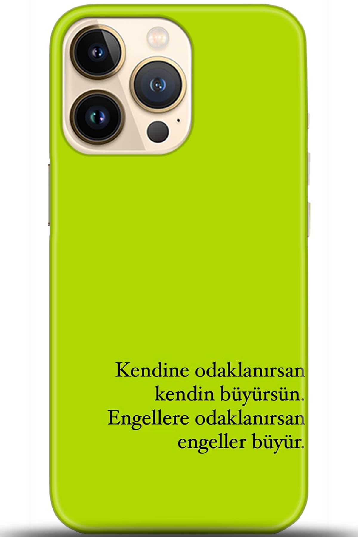Apple iPhone 13 Pro Max Uyumlu Kılıf HD Baskılı Kılıf - Followed Institution 5593