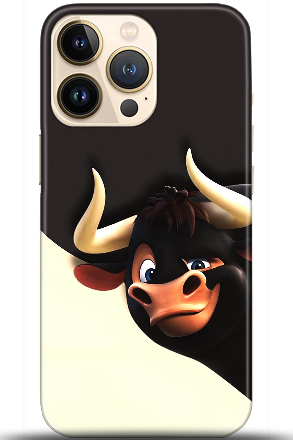 Apple iPhone 13 Pro Max Uyumlu Kılıf HD Baskılı Kılıf - Followed Institution 5608