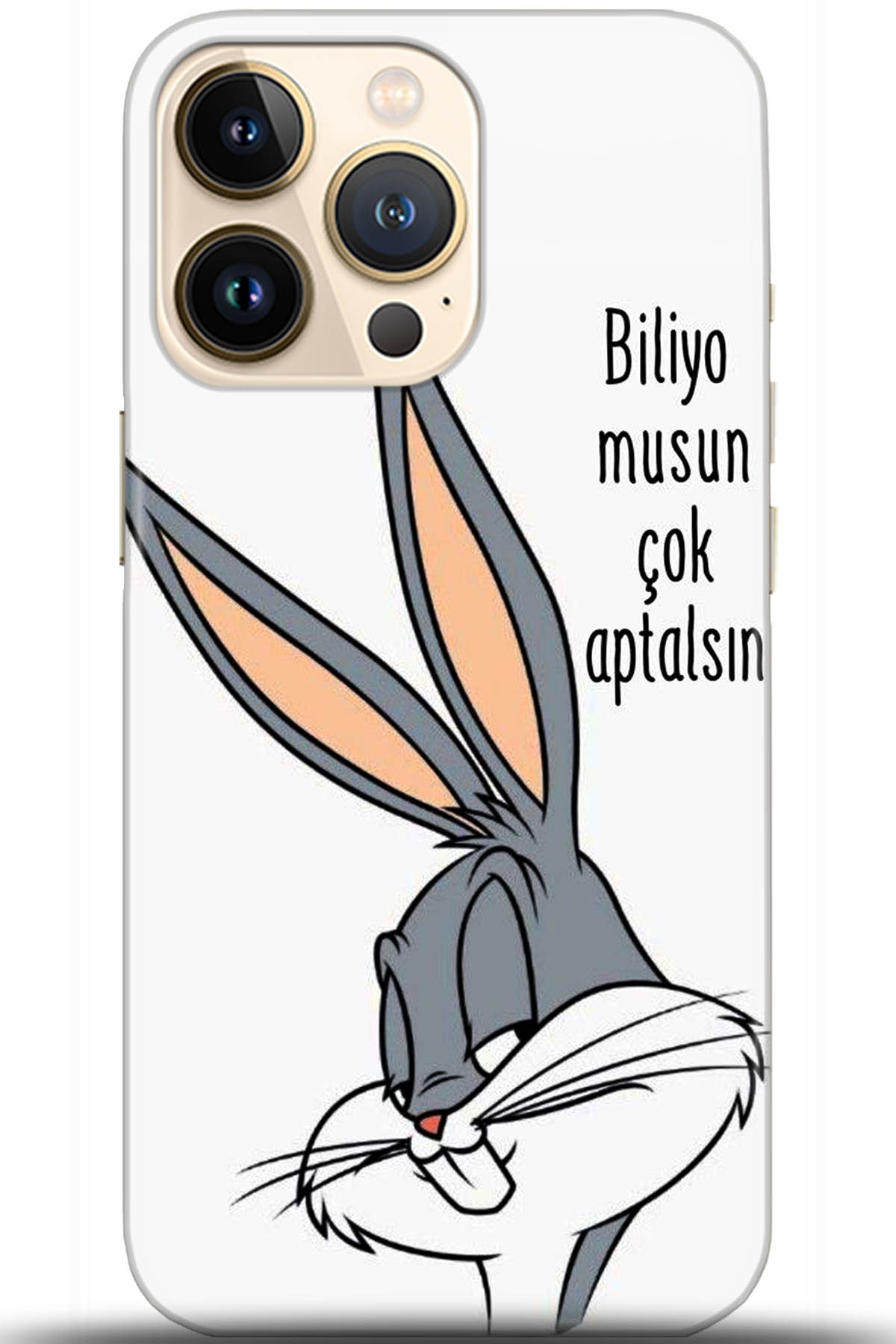 Apple iPhone 13 Pro Max Uyumlu Kılıf HD Baskılı Kılıf - Followed Institution 5685