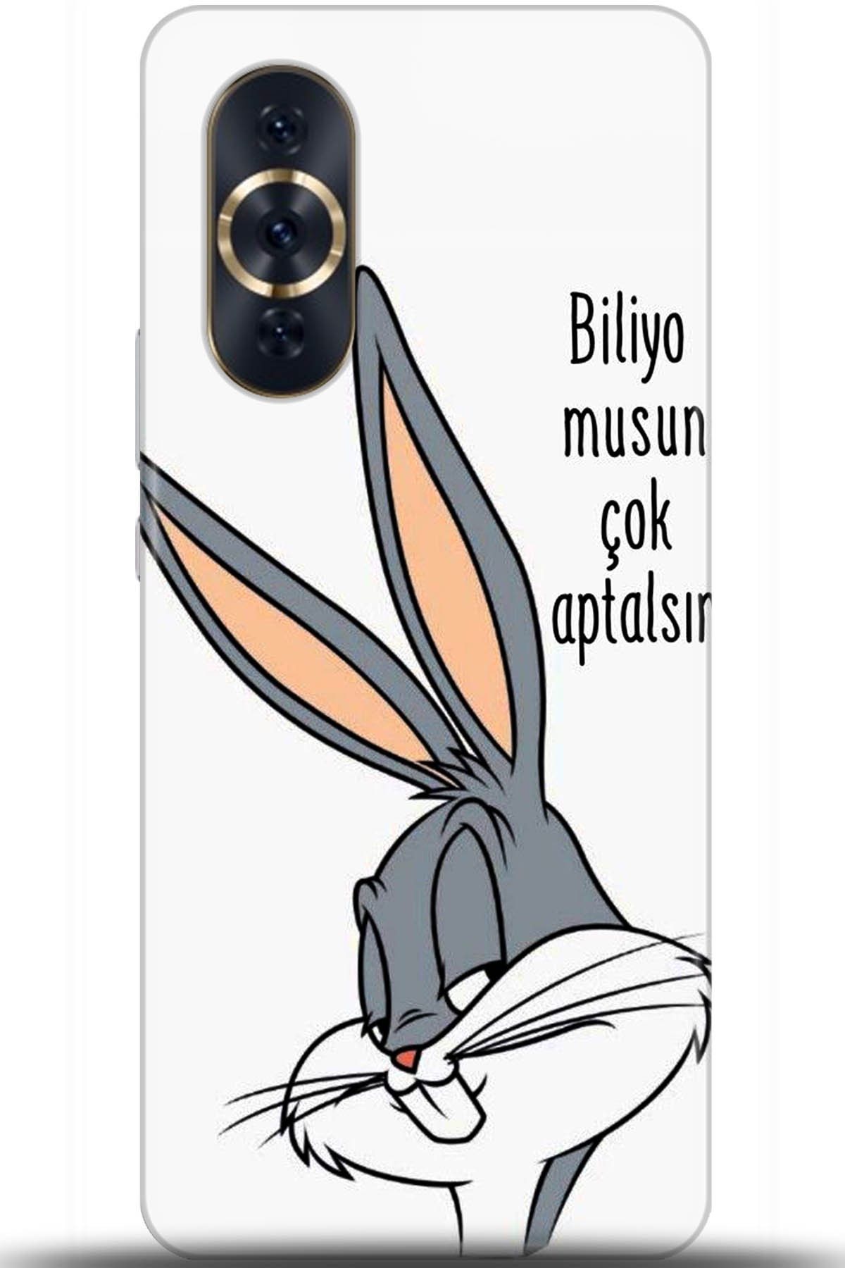 Huawei Nova 10 Pro Uyumlu Kılıf HD Baskılı Kılıf - Followed Institution 5685