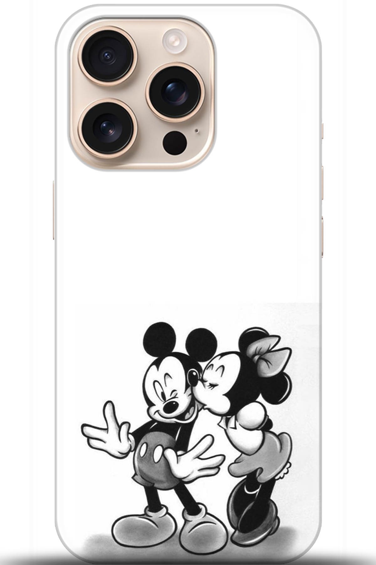 Apple iPhone 16 Pro Uyumlu Kılıf HD Baskılı Kılıf - Followed Institution 5313