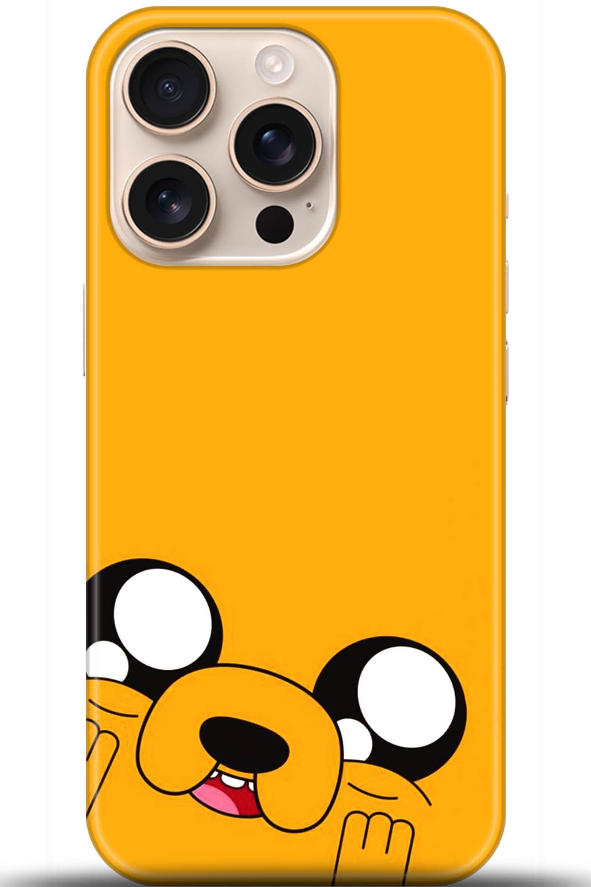 Apple iPhone 16 Pro Uyumlu Kılıf HD Baskılı Kılıf - Followed Institution 5531