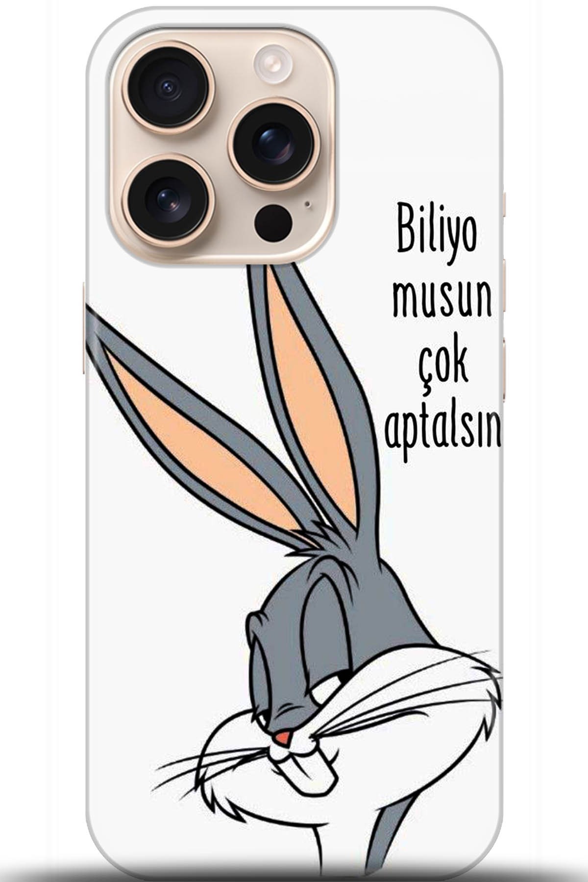 Apple iPhone 16 Pro Max Uyumlu Kılıf HD Baskılı Kılıf - Followed Institution 5685