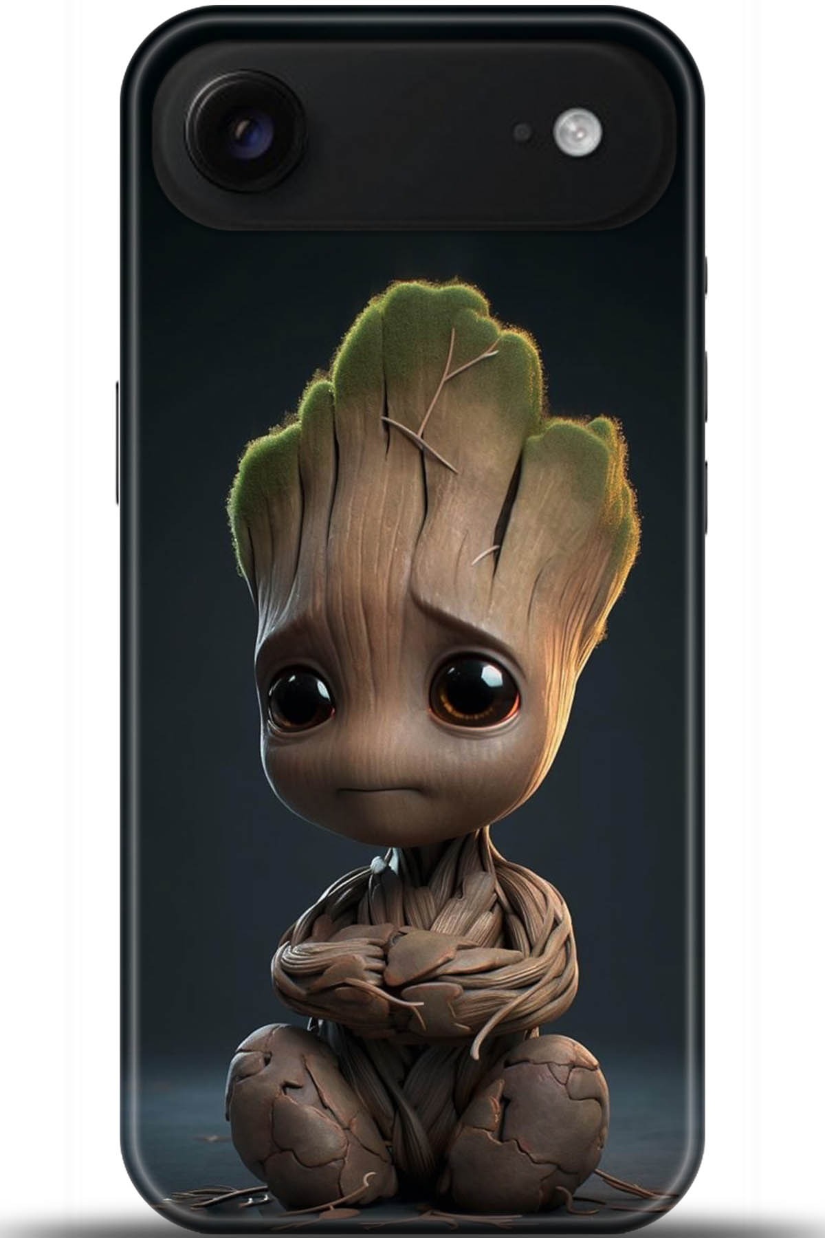 Apple iPhone Air Uyumlu Kılıf HD Baskılı Kılıf - Followed Institution 5071